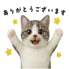 ねこのぬいぐるみ「こまめ」