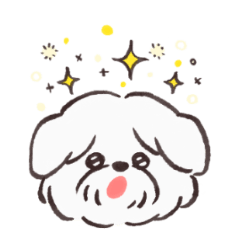 the fluffy dog is happy every day