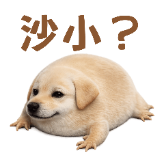 我的刀盾 但是拉不拉多Part.2