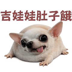 我的刀盾 但是吉娃娃