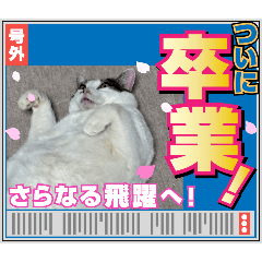 kaerukunn_20260309154135