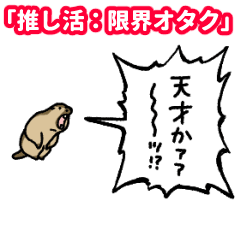 yelling marmot "Stanning: Limit"