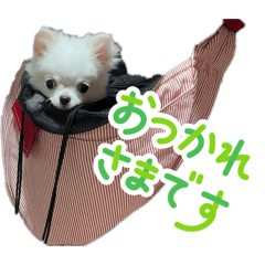 Nomame_20260308184336