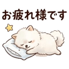 kuroook_20260308200403