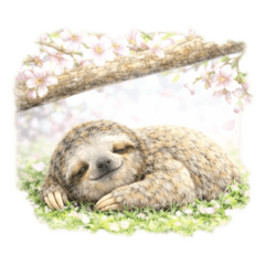Sloth Little Thoughts 3 Spring Sleep