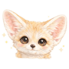 Soft Fennec Everyday