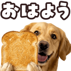 動く！ゴールデン
