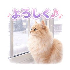 masahiro_20260308184603