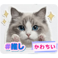 Haruru_20260308220604