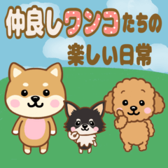 仲良しワンコたちの日常