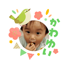 SANPACHI_20260308214336