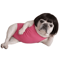 ブヒのぶーちゃん(おかっぱレオタード)