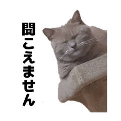 C_20260309103056