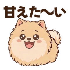 Short-legged Pomeranian (pamper)