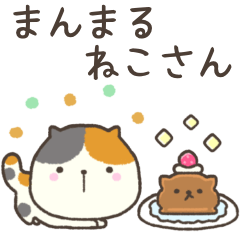 まんまる ねこさん⭐︎三毛猫