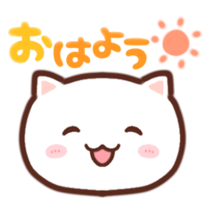 momo_20260309142852