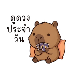 Capybara Day by Day