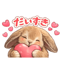 sherry_20260309203309