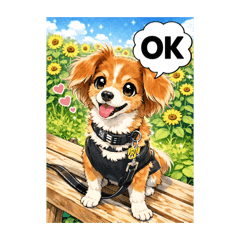 passpapa_20260309202112