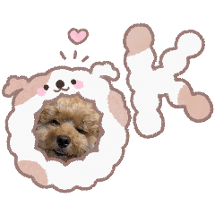 Cooper_20260309172235