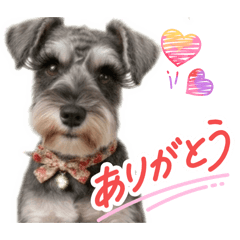 noririn_20260309200242