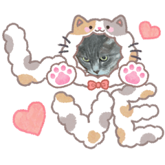 basabasa_20260309151540