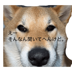 LEO & SHALA_20260309180835