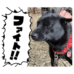 mugi_20260309181124
