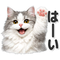 A Ragamuffin you can use every day!