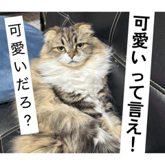 asuka_20260309161544