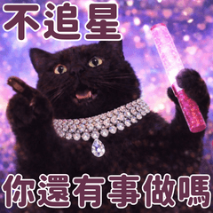 everybody love animals 4 : star-struck