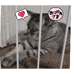 kouki_20260309183657