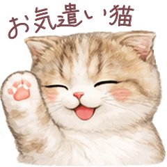 Scottish cat everyday conversation