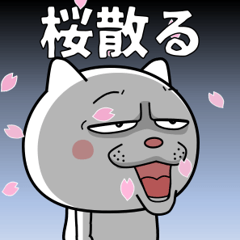 ネコに転生した犬【春】