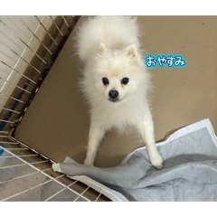 ryosuke_20260309211137