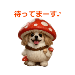 wakariku
