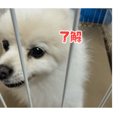 ryosuke_20260309211800