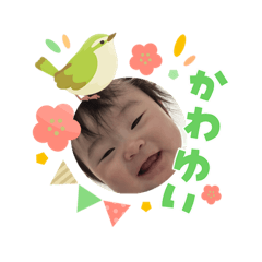 hi!_20260309174541