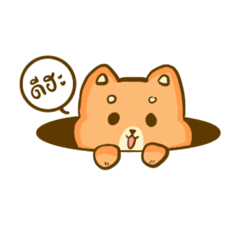 Hello Smile dog