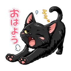 su-cham_20260309174256