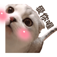 小迪寶包