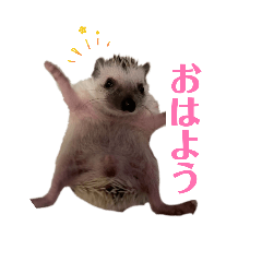 himeko_20260309193849