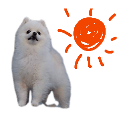 muttomo_20260309193702