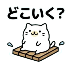 Chill White Cat:  Daily Life