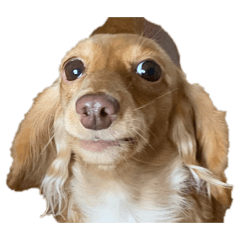 songmin_20260310010002