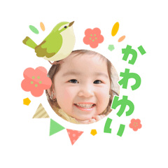 serrip_20260310083517