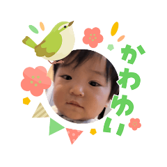 yoneda_20260310111332