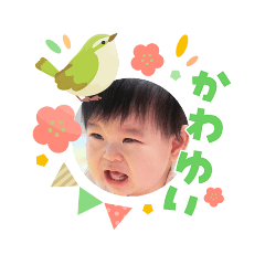 MINAMI_20260310123322