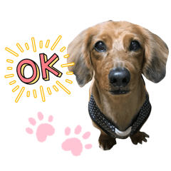 kizuna_20260310122951