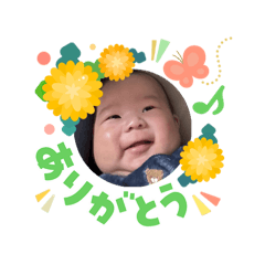 yanagi_20260310123620